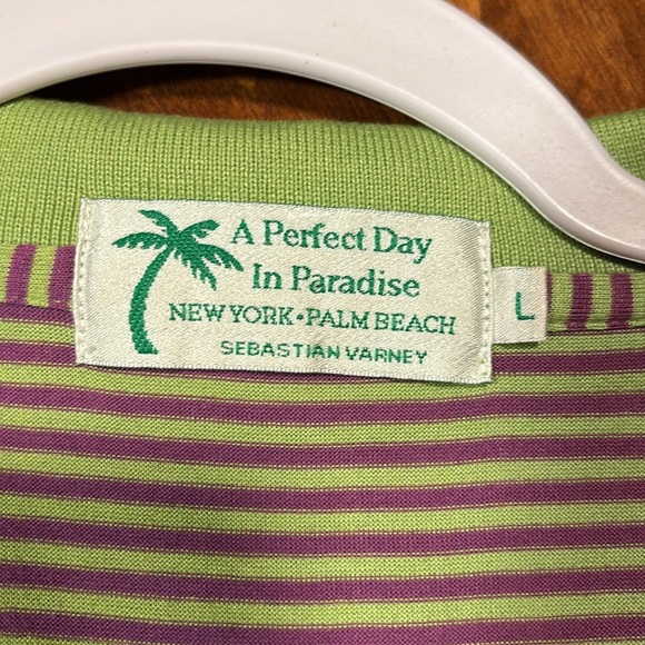 A Perfect Day In Paradise Sebastian Varney Lime Green And Purple Stripes Size L - Picture 6 of 9